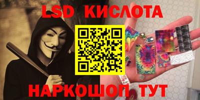 стафф Донской