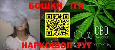 стафф Донской