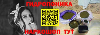 прущие грибы Донецк