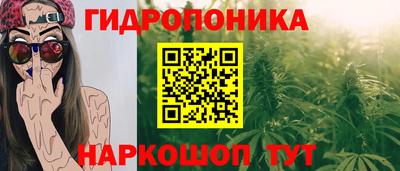 стафф Донской