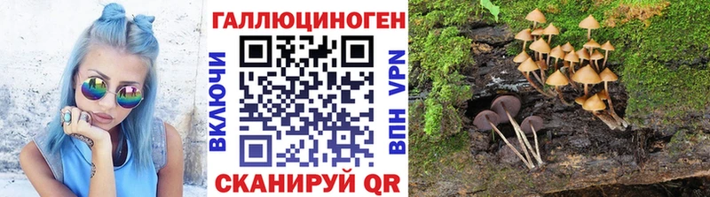 Галлюциногенные грибы мицелий  продажа наркотиков  Котельники 