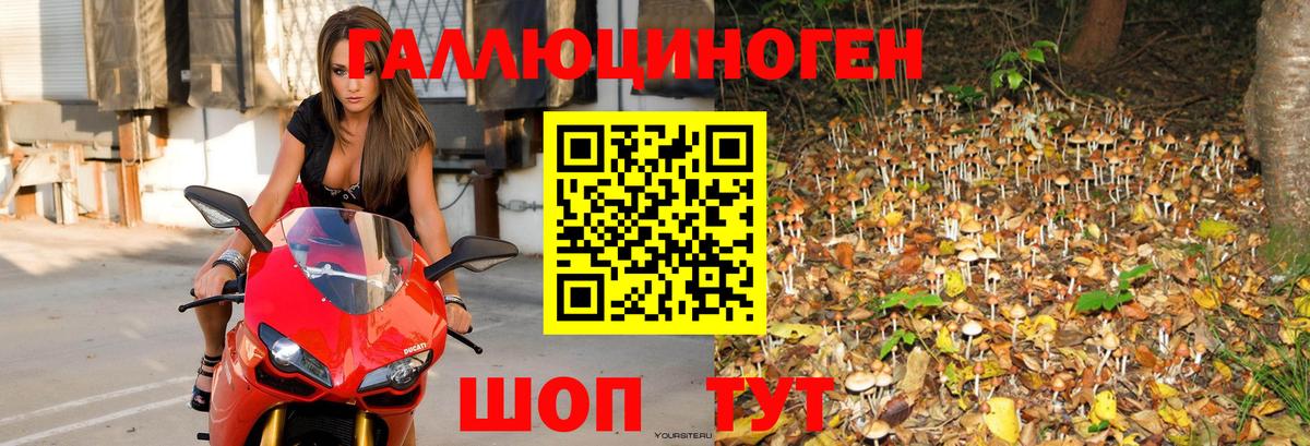 Псилоцибиновые грибы Psilocybe  Галлюциногенные грибы Psilocybine cubensis  Вход с VPN  Котельники 